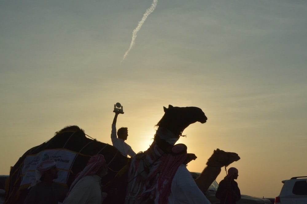 a group of people standing next to a camel