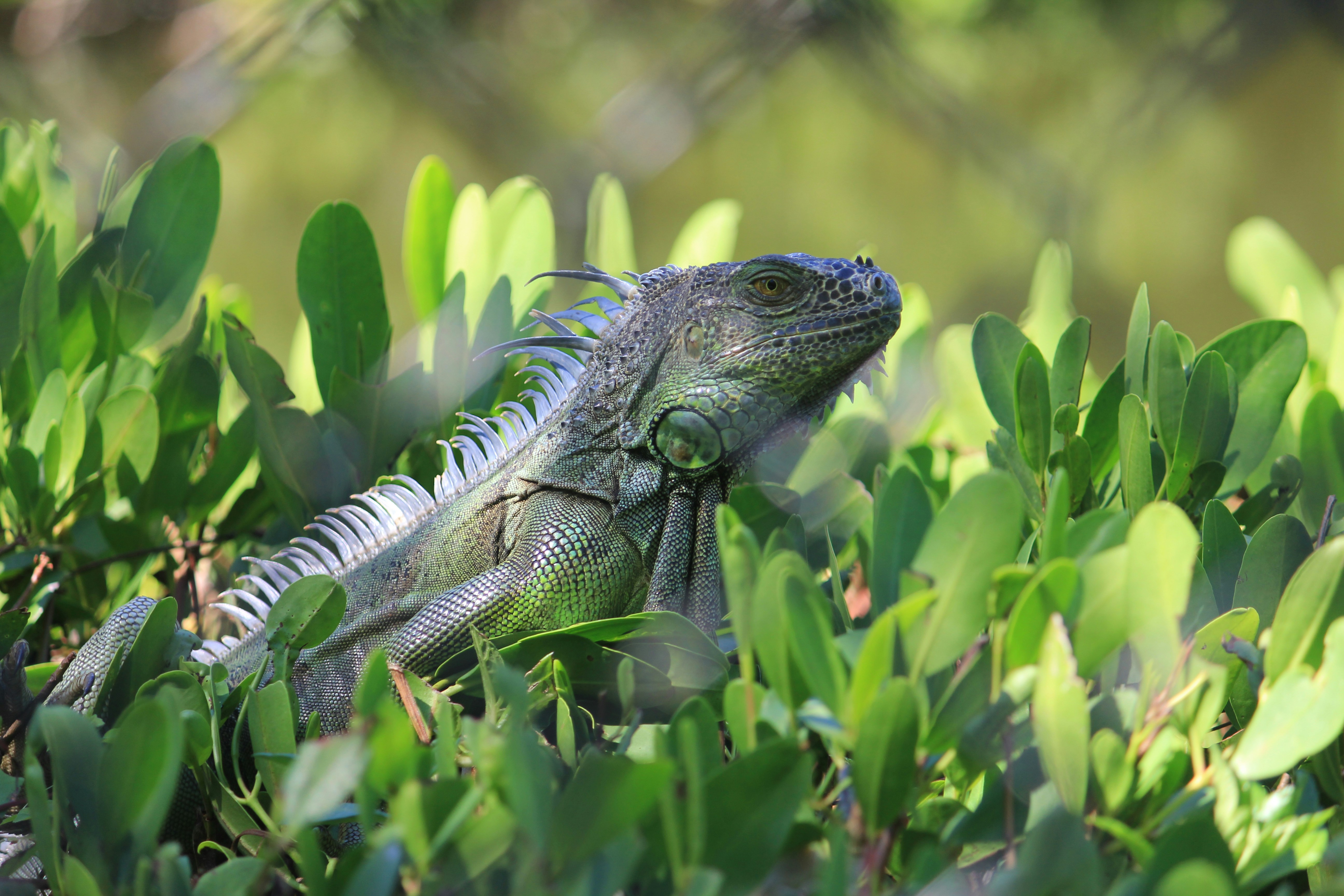 Photo by adriancross05