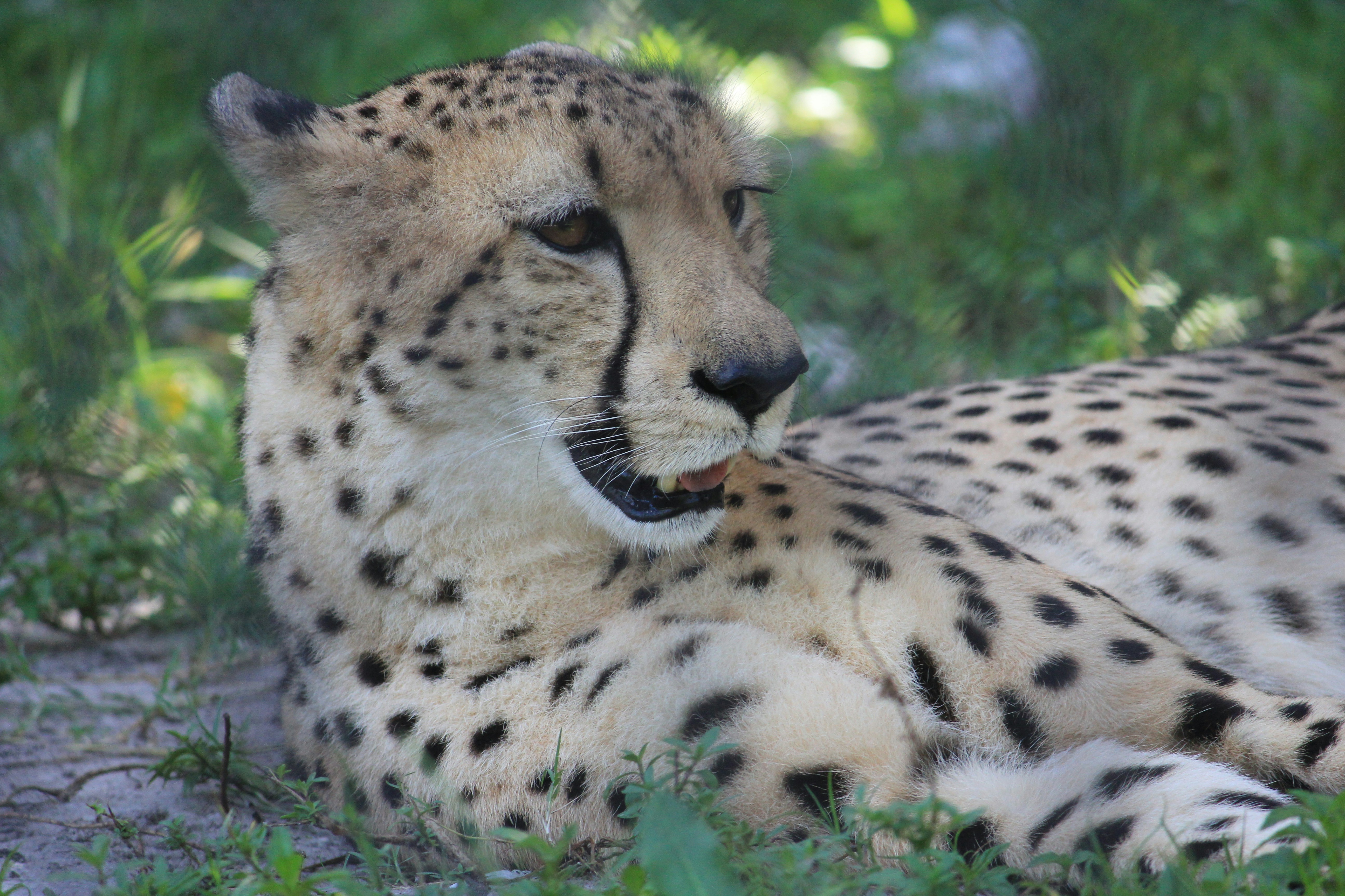 Photo by adriancross05