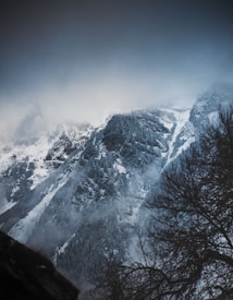 A mountain landscape features snow-covered peaks partially obscured by mist and clouds. The rugged terrain is contrasted by patches of bare rock and alpine trees, creating a dramatic and serene scene. In the foreground, leafless branches frame the view, adding depth and texture to the composition.