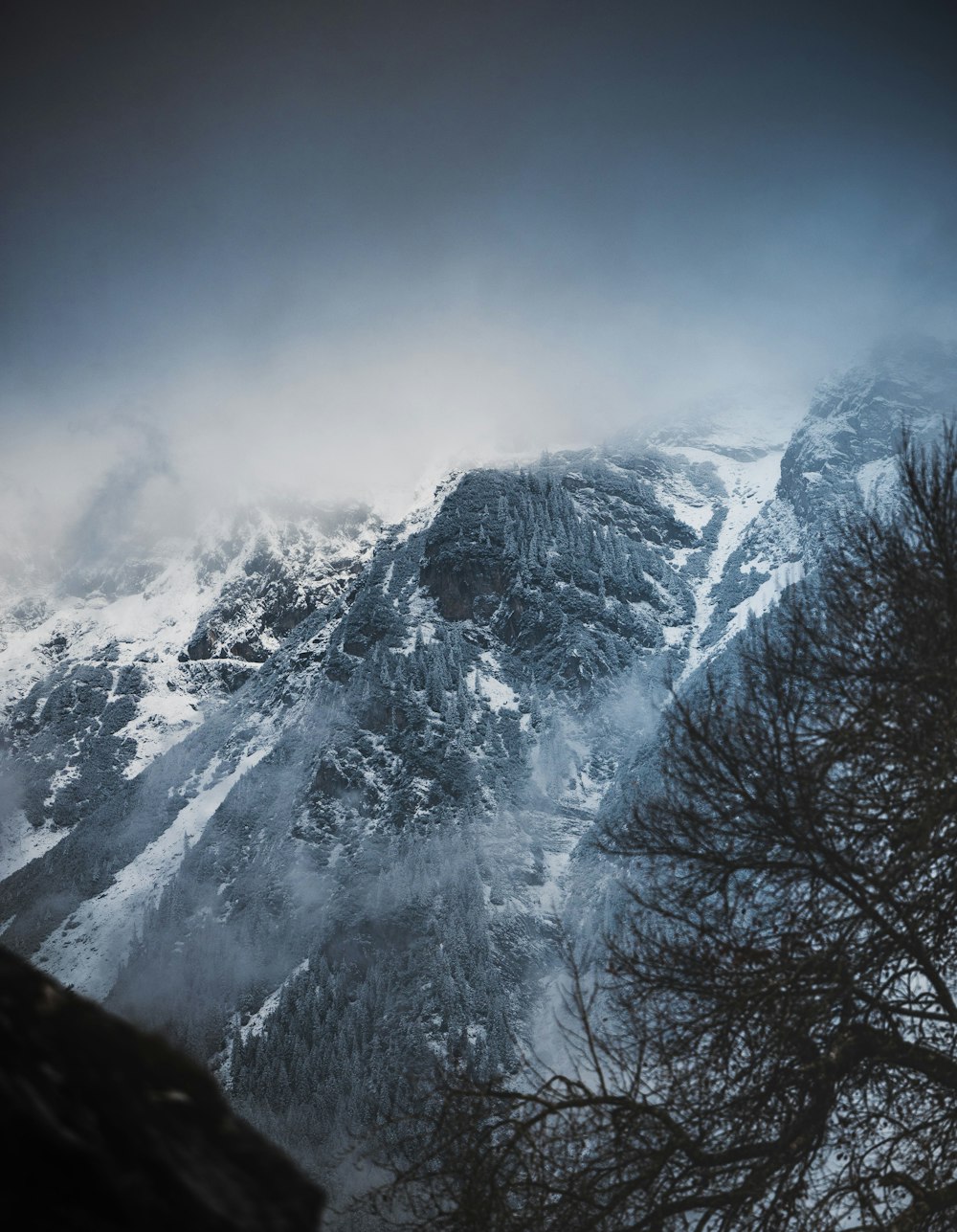 Blick auf einen verschneiten Berg mit Bäumen im Vordergrund