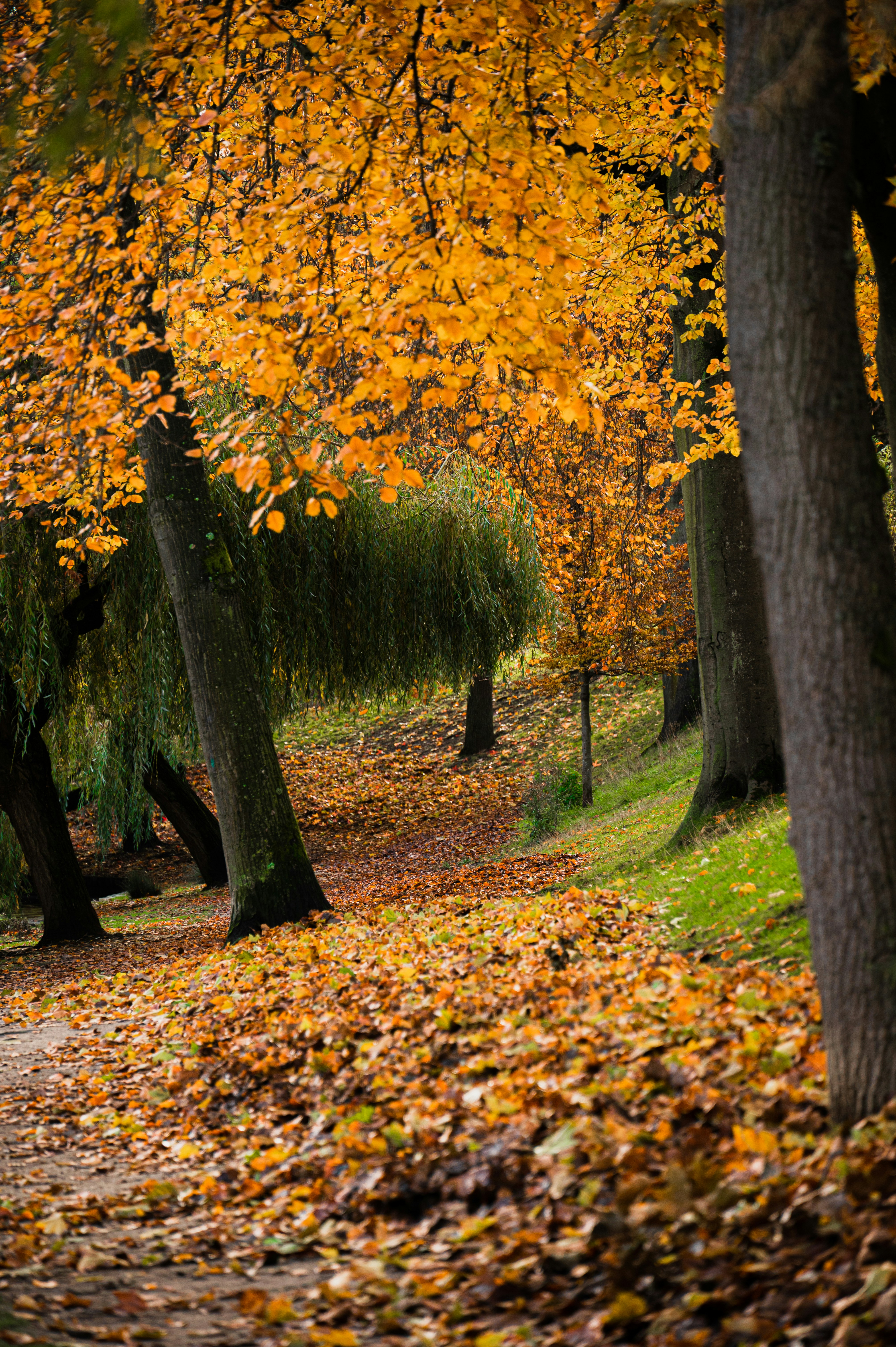 Photo by miandaphotography