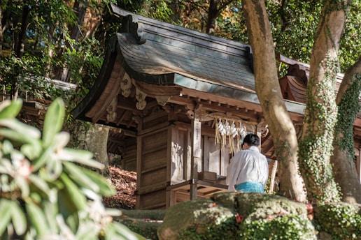 A traditional wooden shrine is nestled among lush green trees. A person wearing traditional attire stands in front of the shrine, partially obscured by a tree in the foreground. Ivy vines and foliage create a serene atmosphere.
