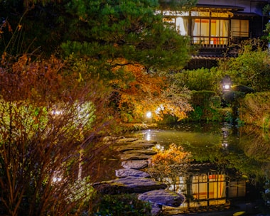 A serene garden illuminated at night with elegant lighting.