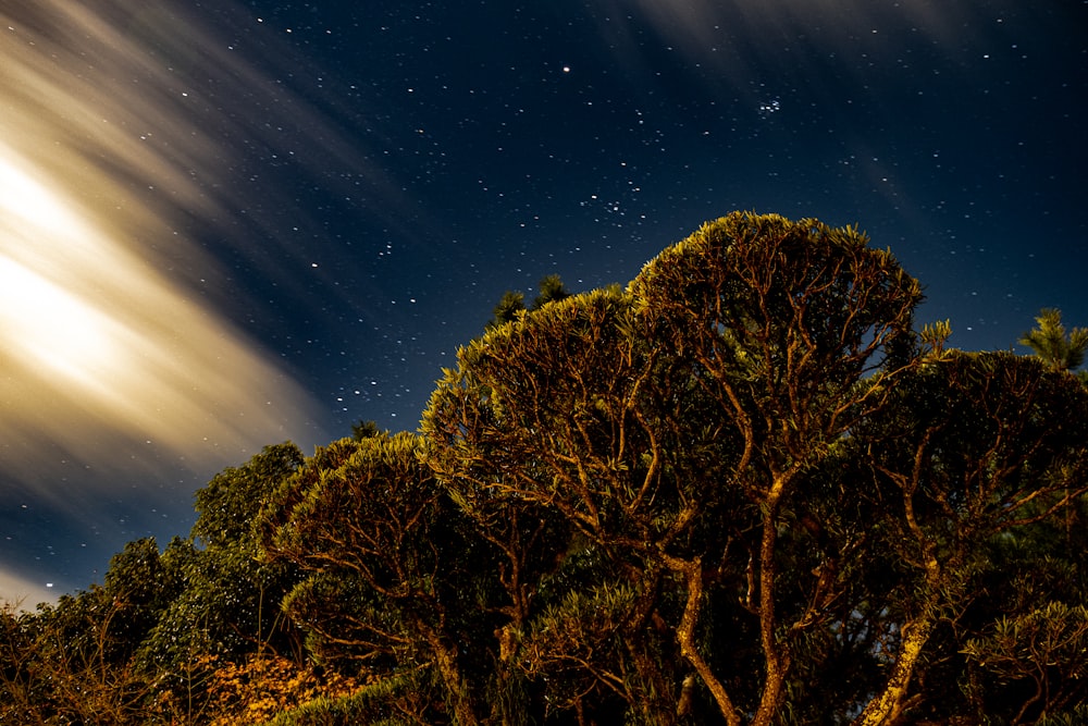 the night sky is full of stars and clouds