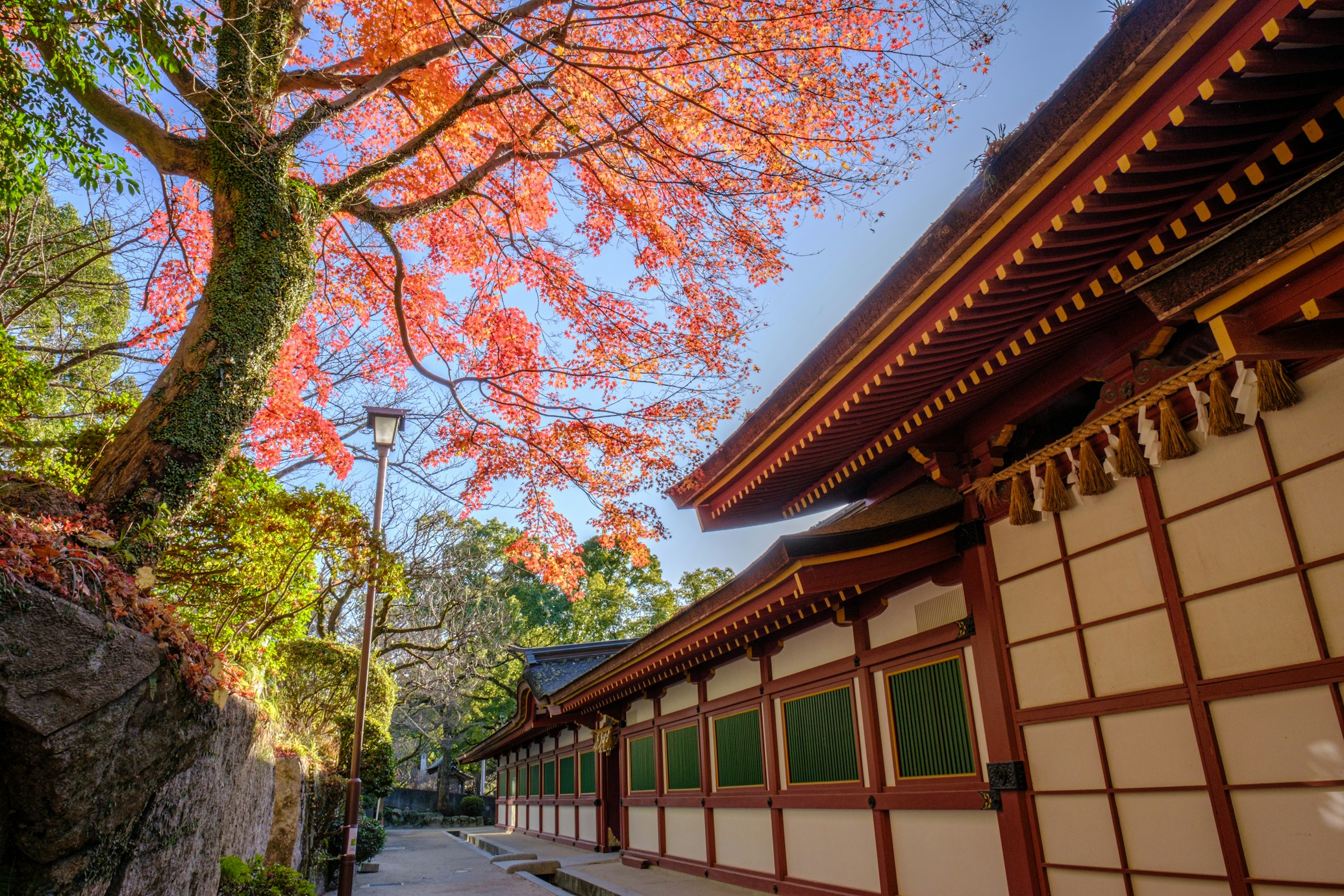 Un edificio tipico giapponese affiancato da alberi con foliage autunnale
