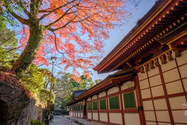 What to see in Dazaifu: A Travel Guide