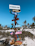 A colorful signpost with multiple directional arrows stands on a sandy beach surrounded by palm trees. Each arrow points towards different cities, including Brasilia, Ottawa, Buenos Aires, Holbox, Isla Mujeres, and Bogota, with distances listed in kilometers and miles. The sky is clear and blue, creating a tropical and inviting atmosphere.