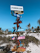 A colorful signpost with multiple directional arrows stands on a sandy beach surrounded by palm trees. Each arrow points towards different cities, including Brasilia, Ottawa, Buenos Aires, Holbox, Isla Mujeres, and Bogota, with distances listed in kilometers and miles. The sky is clear and blue, creating a tropical and inviting atmosphere.