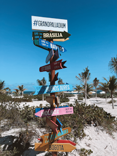 A colorful signpost with multiple directional arrows stands on a sandy beach surrounded by palm trees. Each arrow points towards different cities, including Brasilia, Ottawa, Buenos Aires, Holbox, Isla Mujeres, and Bogota, with distances listed in kilometers and miles. The sky is clear and blue, creating a tropical and inviting atmosphere.