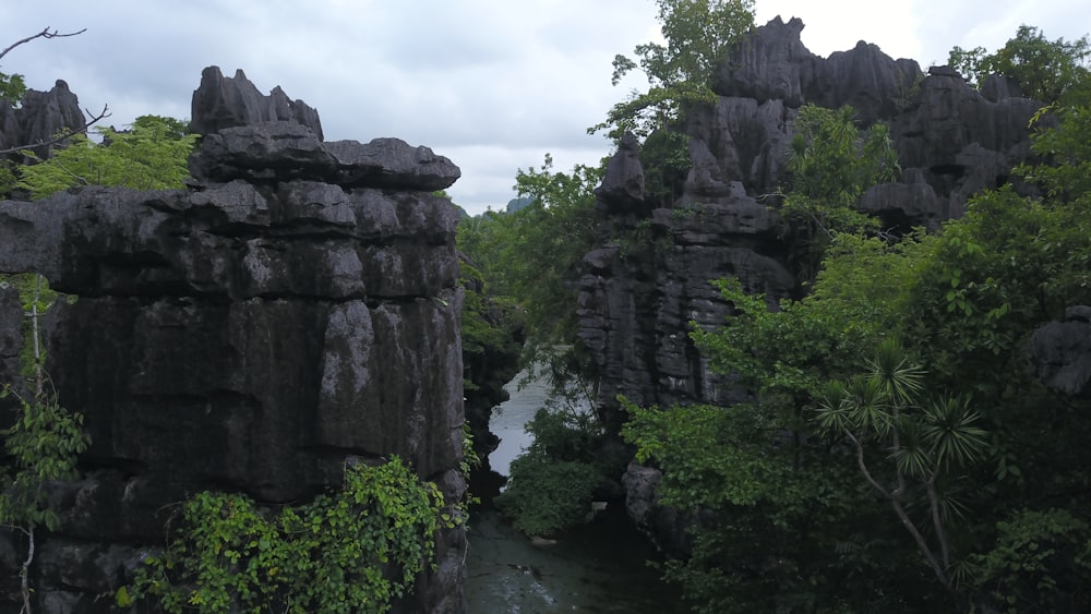 a river flowing between two large rocks in a forest