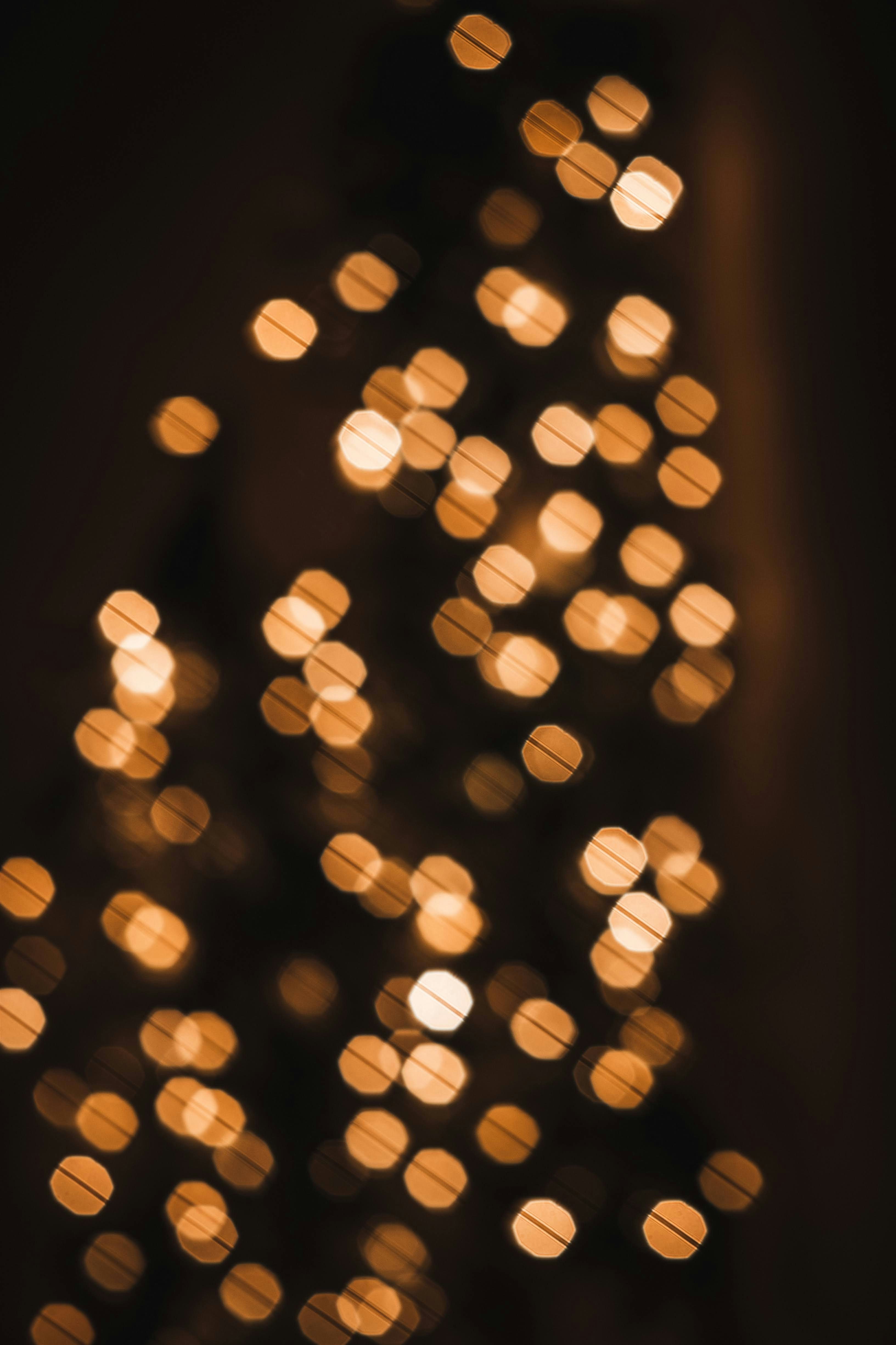 Photo by brice_cooper18