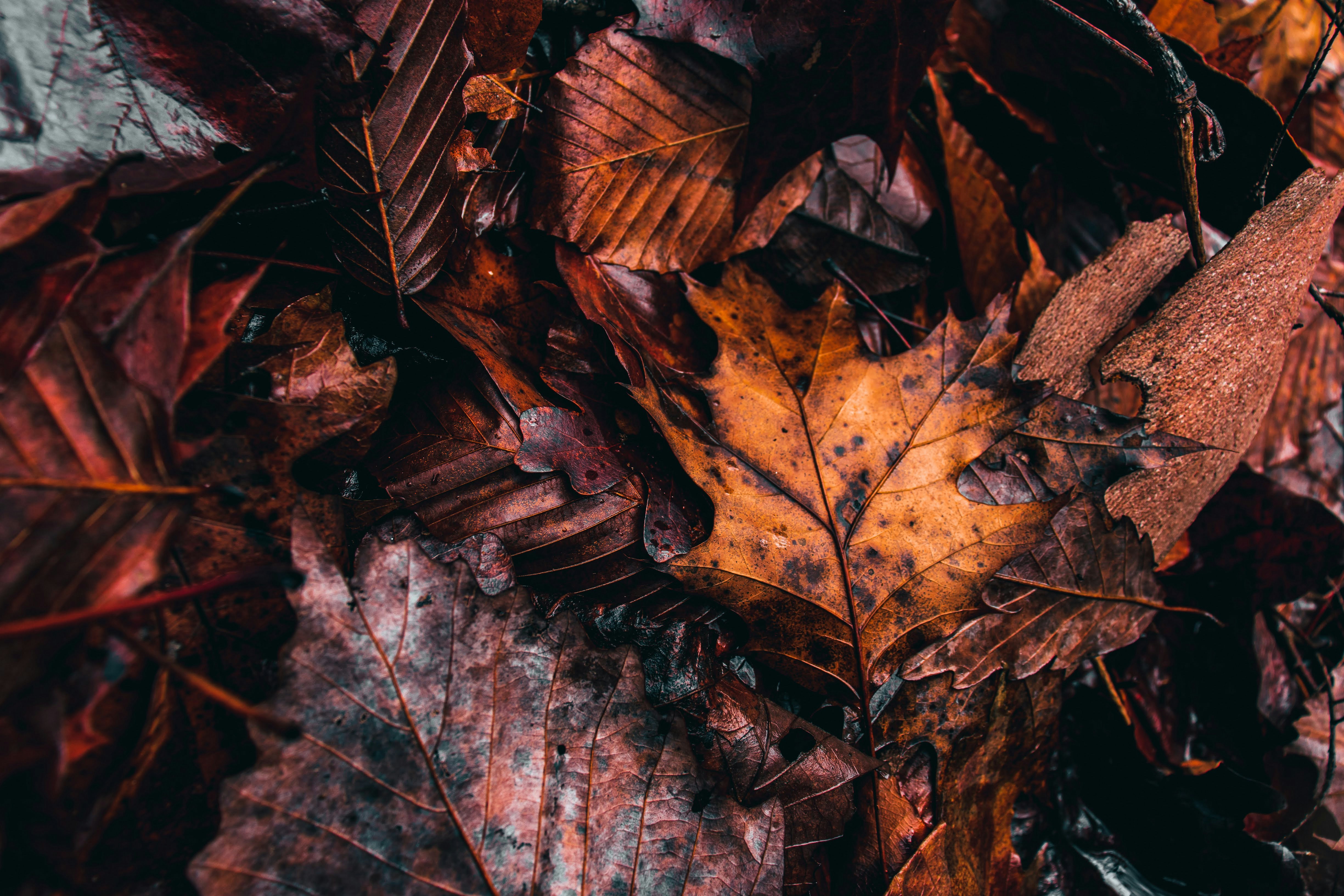 Photo by brice_cooper18