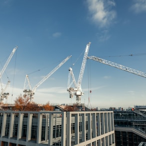 a group of cranes that are on top of a building