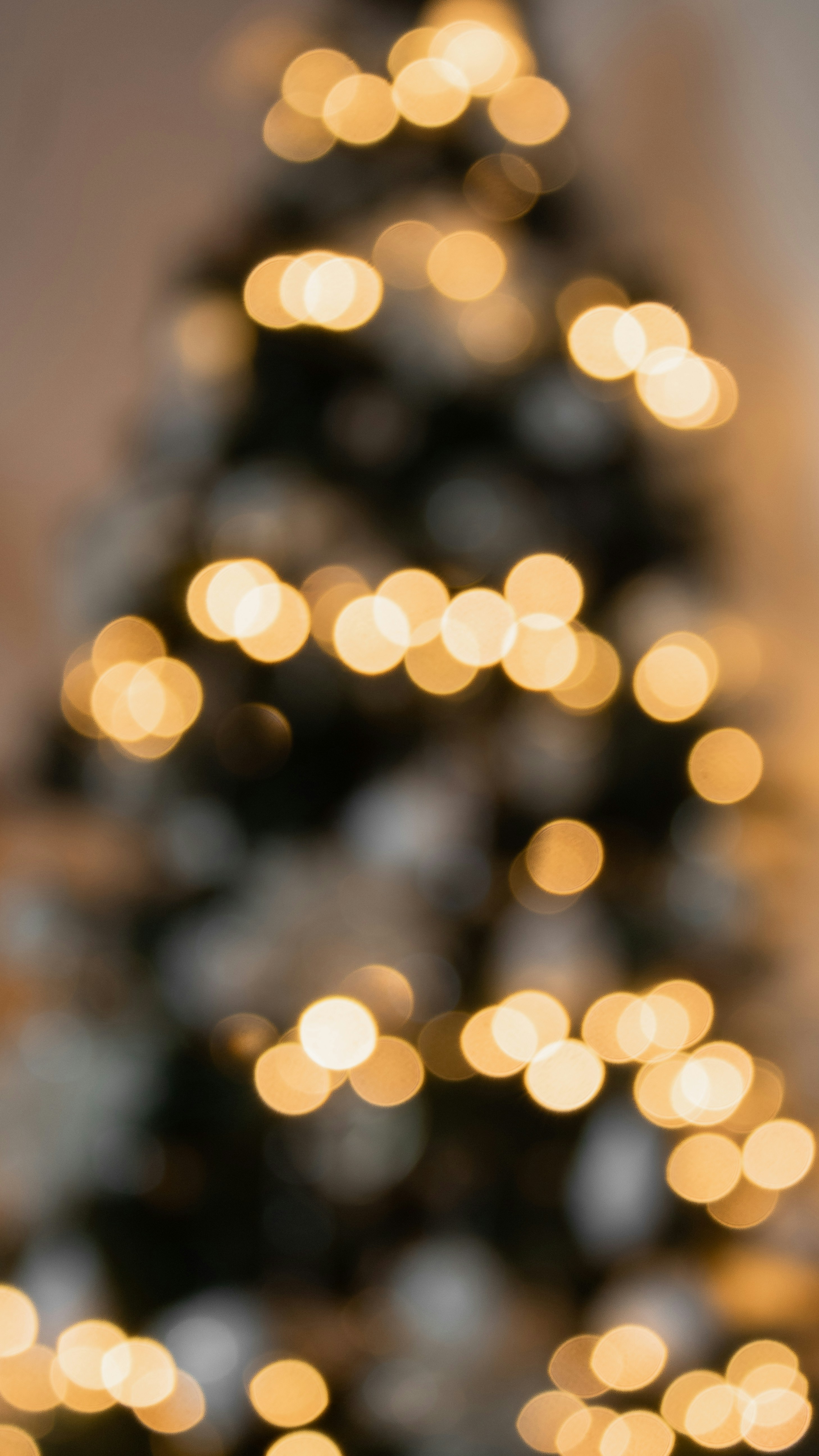 Photo by photosbyedoardo