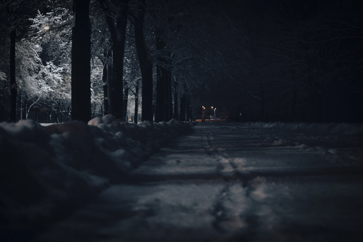 A forest road under snow at night, lit only by a lamp far down the cutting