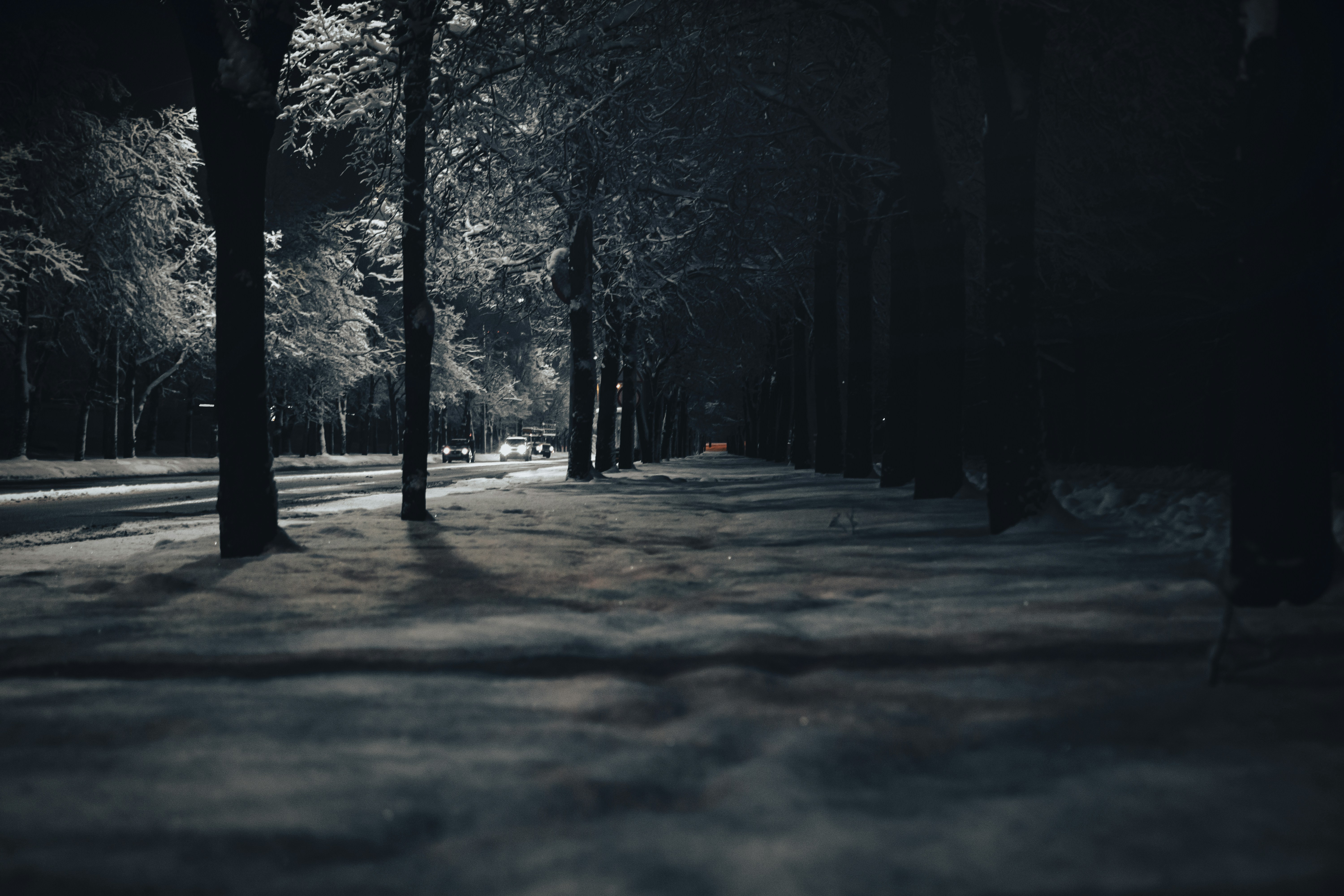 Photo by eadutskevich