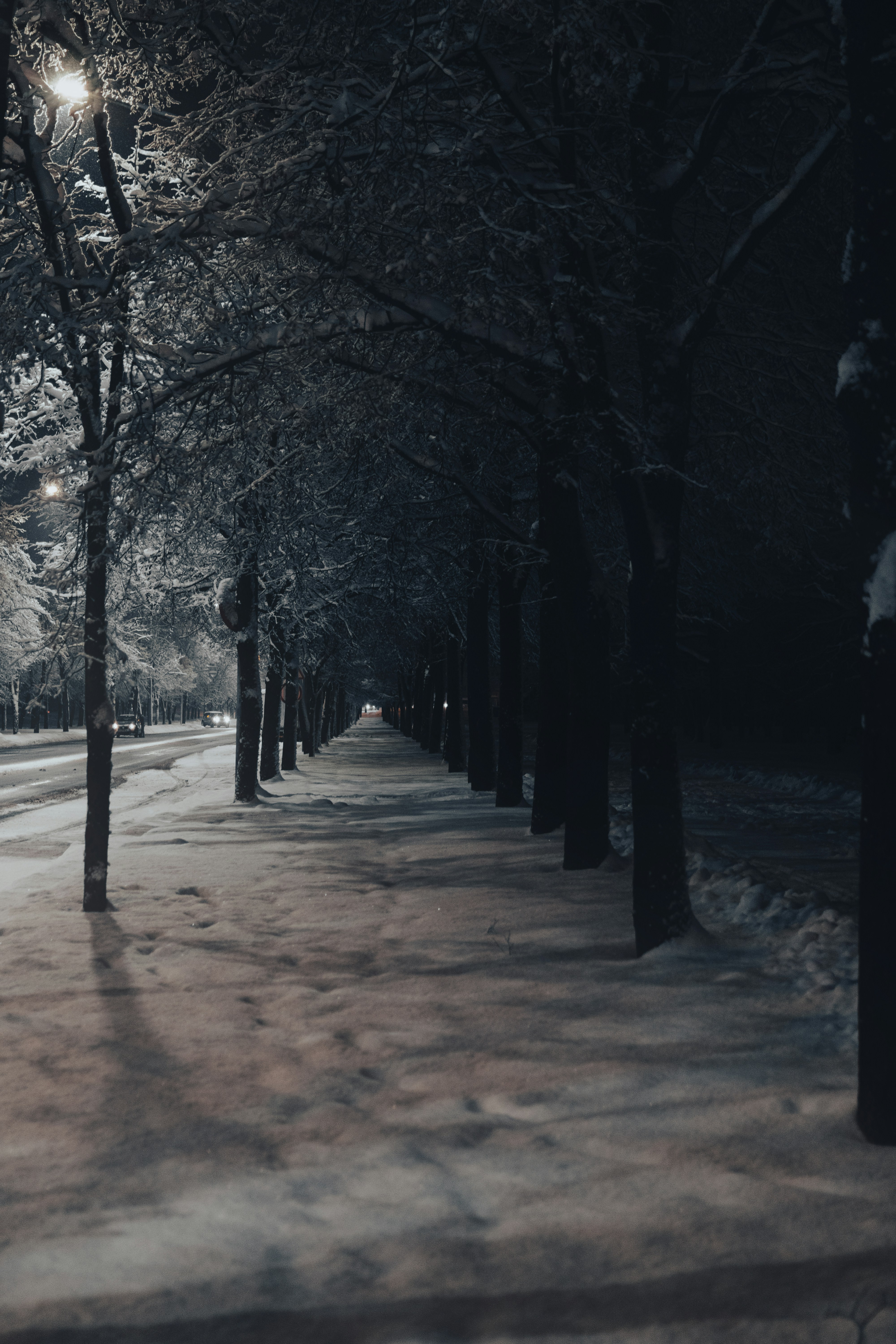 Photo by eadutskevich