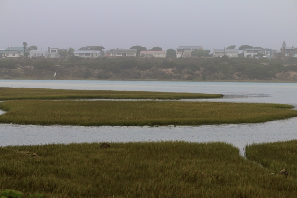 a large body of water surrounded by lush green grass