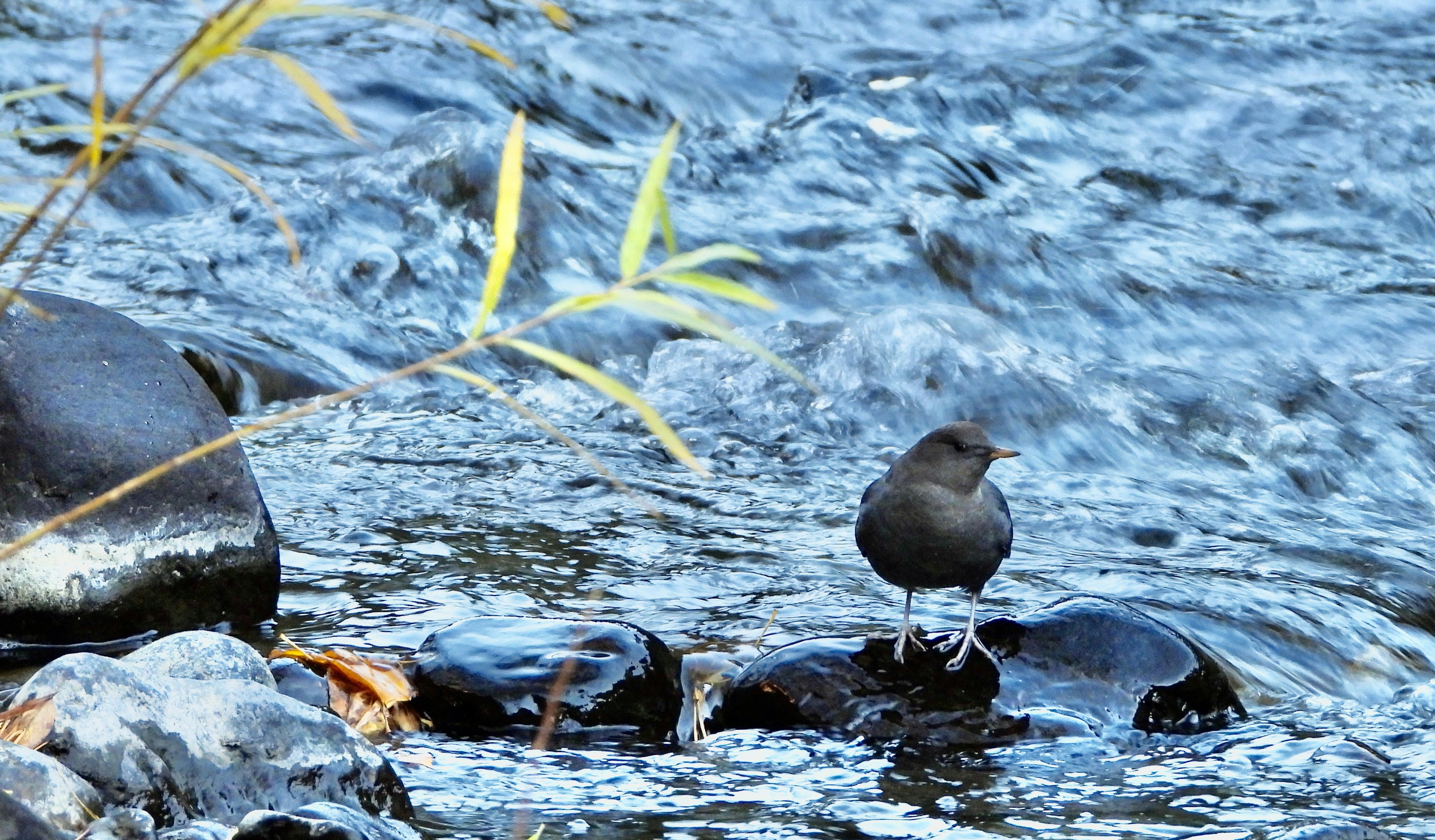 Photo by evergreene24