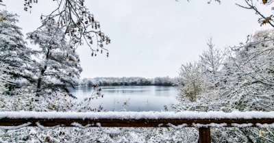 A stunning illustration depicting a winter scene.