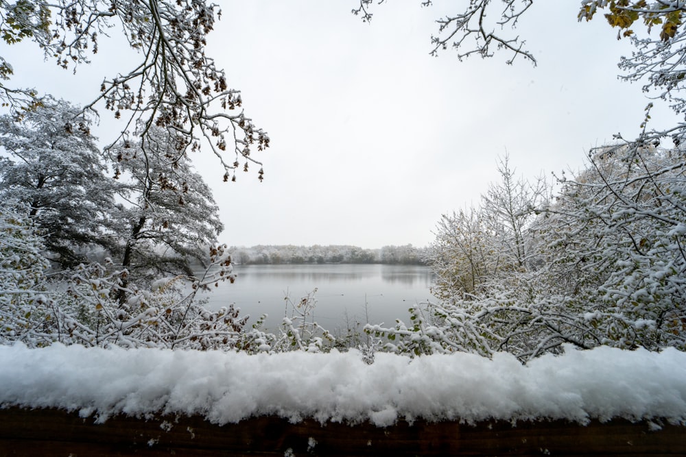 a lake surrounded by trees covered in snow