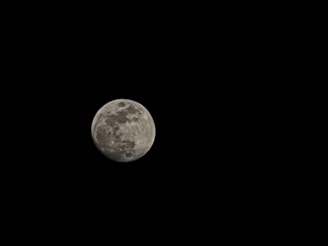 A full moon is prominently visible against a completely black background, showcasing its detailed surface features such as craters and various shades of gray.
