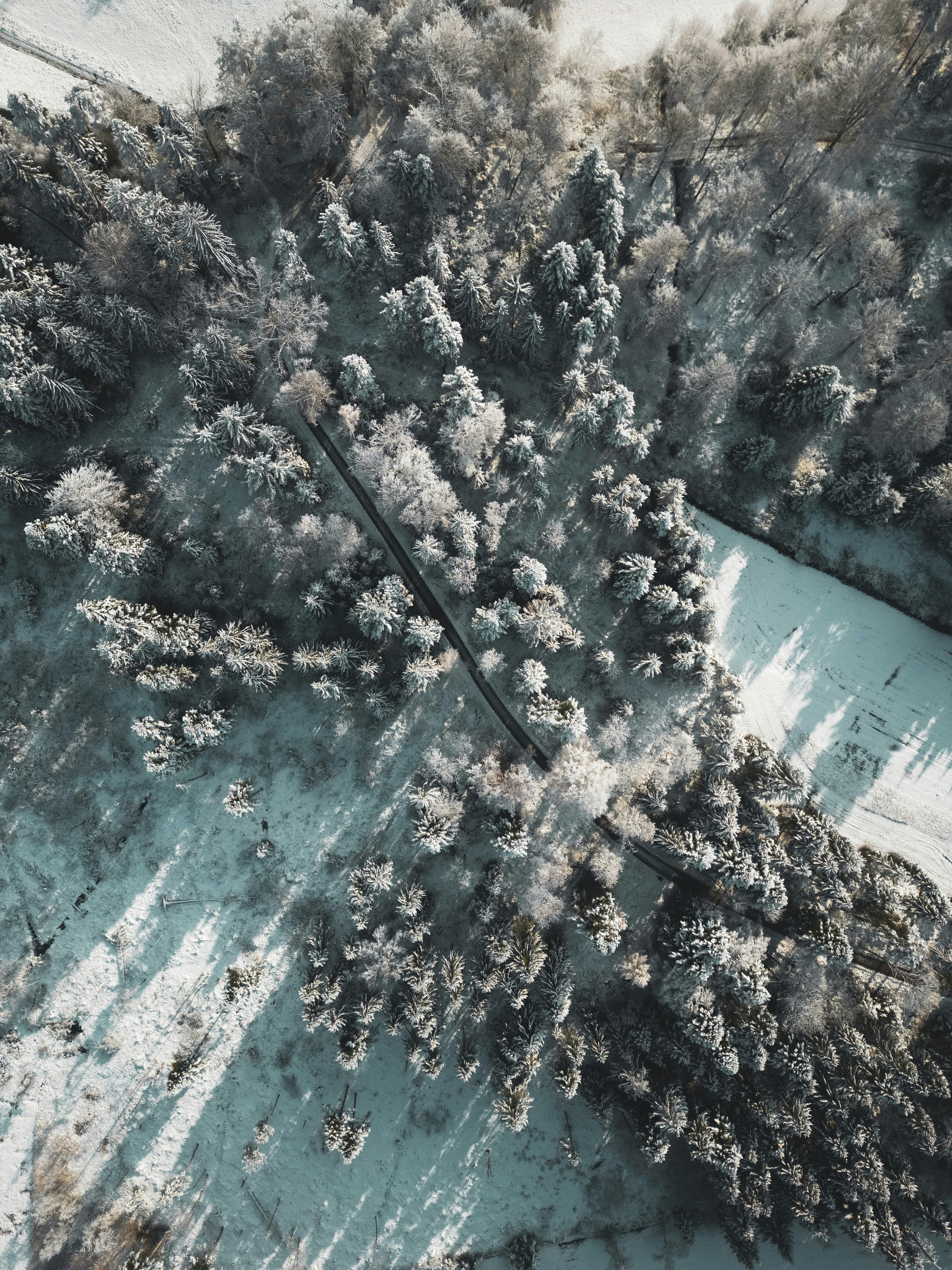 Photo by watchelijah