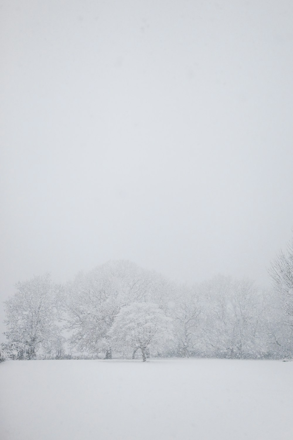 a snow covered field with trees in the distance