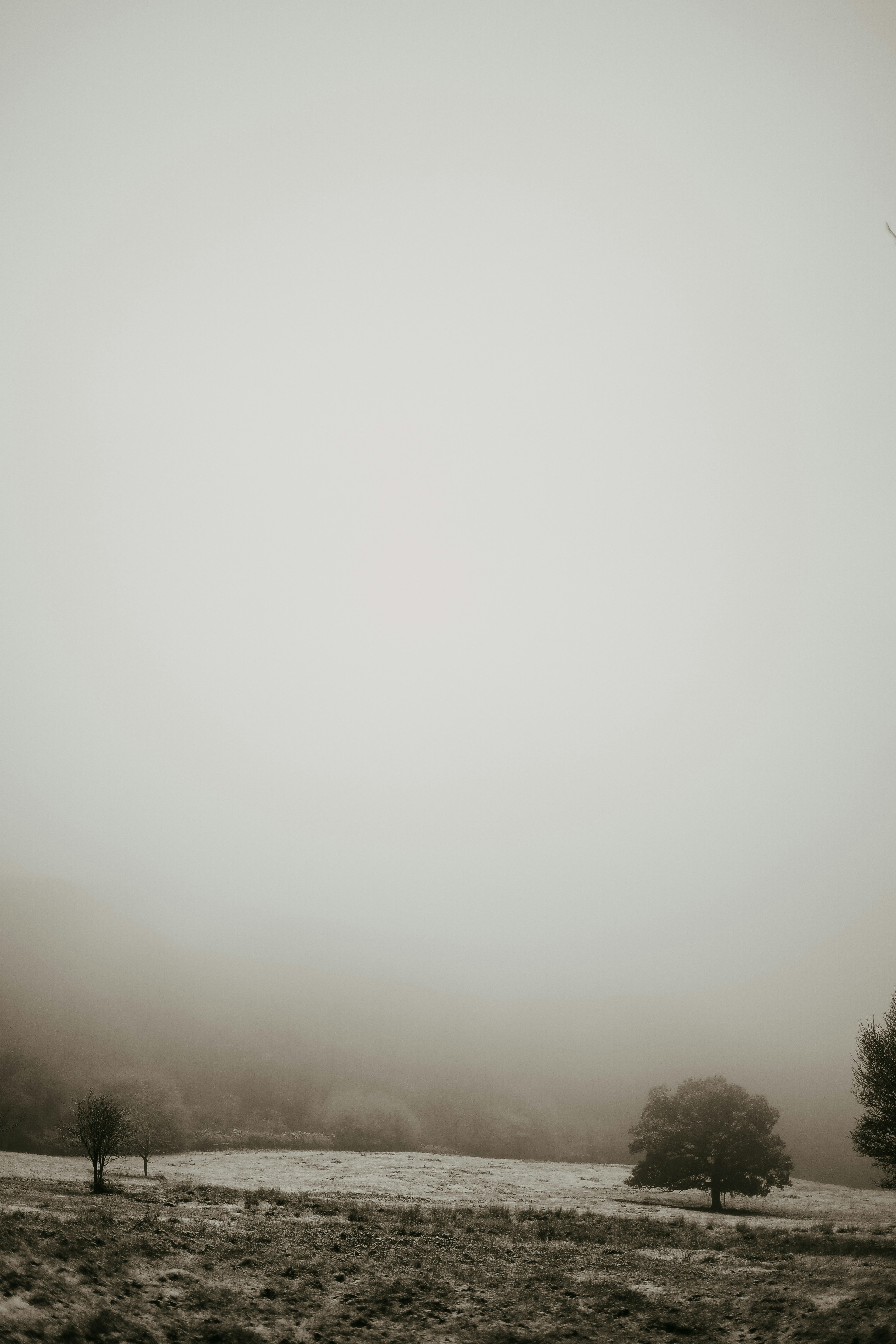 Photo by secondsight