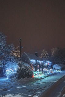 A snowy outdoor scene with a decorated house for the holidays.