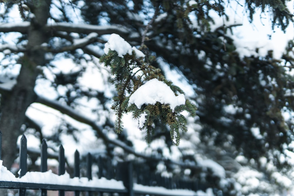 a fence covered in snow next to a tree