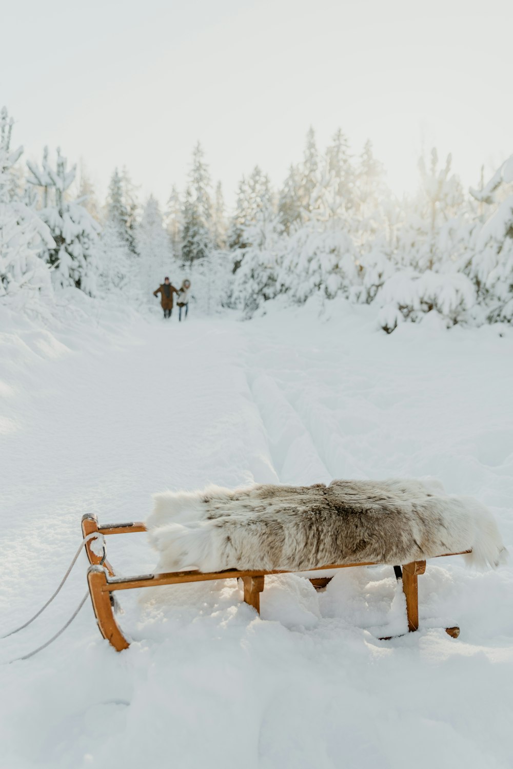 a bench covered in snow in the middle of a forest