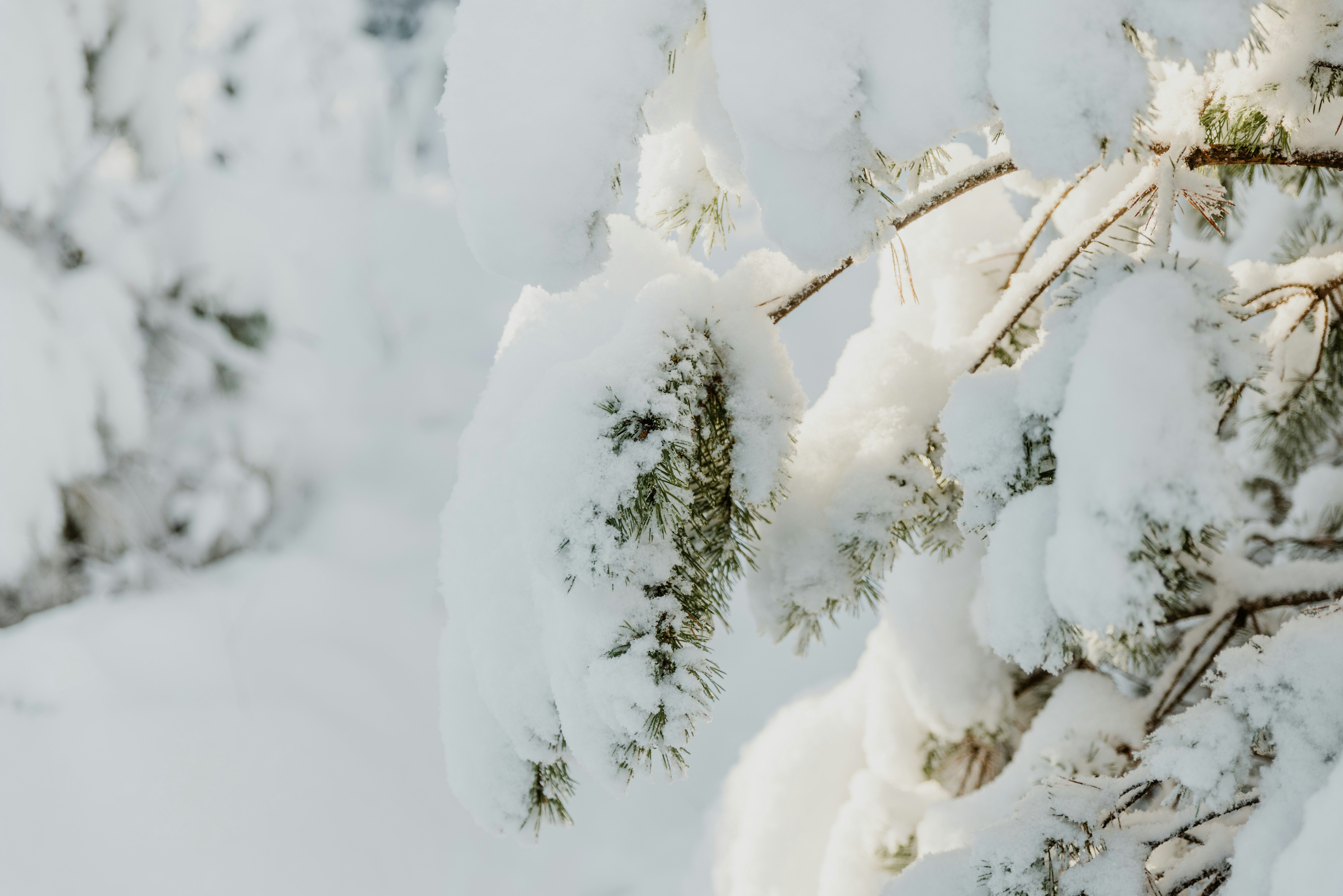 Photo by anitaaustvika