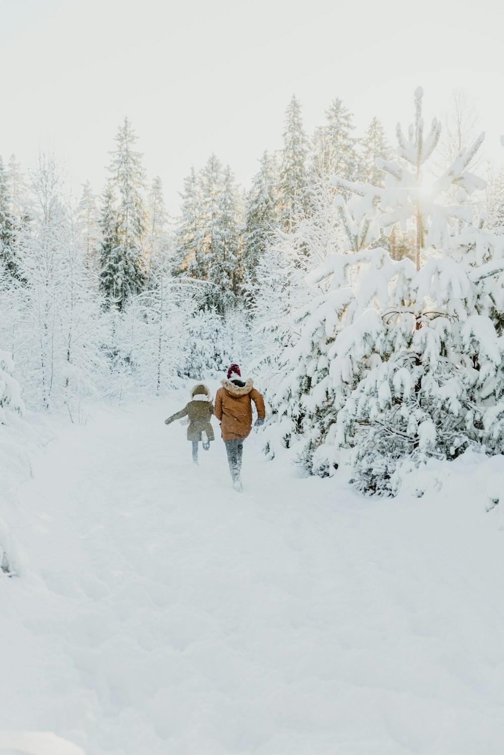 Eine Person, die mit einem Hund im Schnee spazieren geht