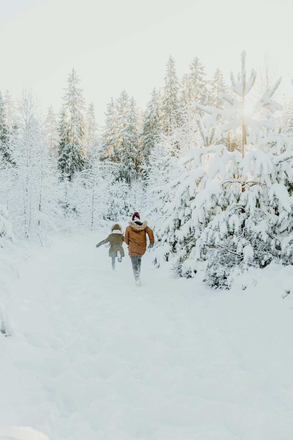 犬と一緒に雪の中を歩いている人