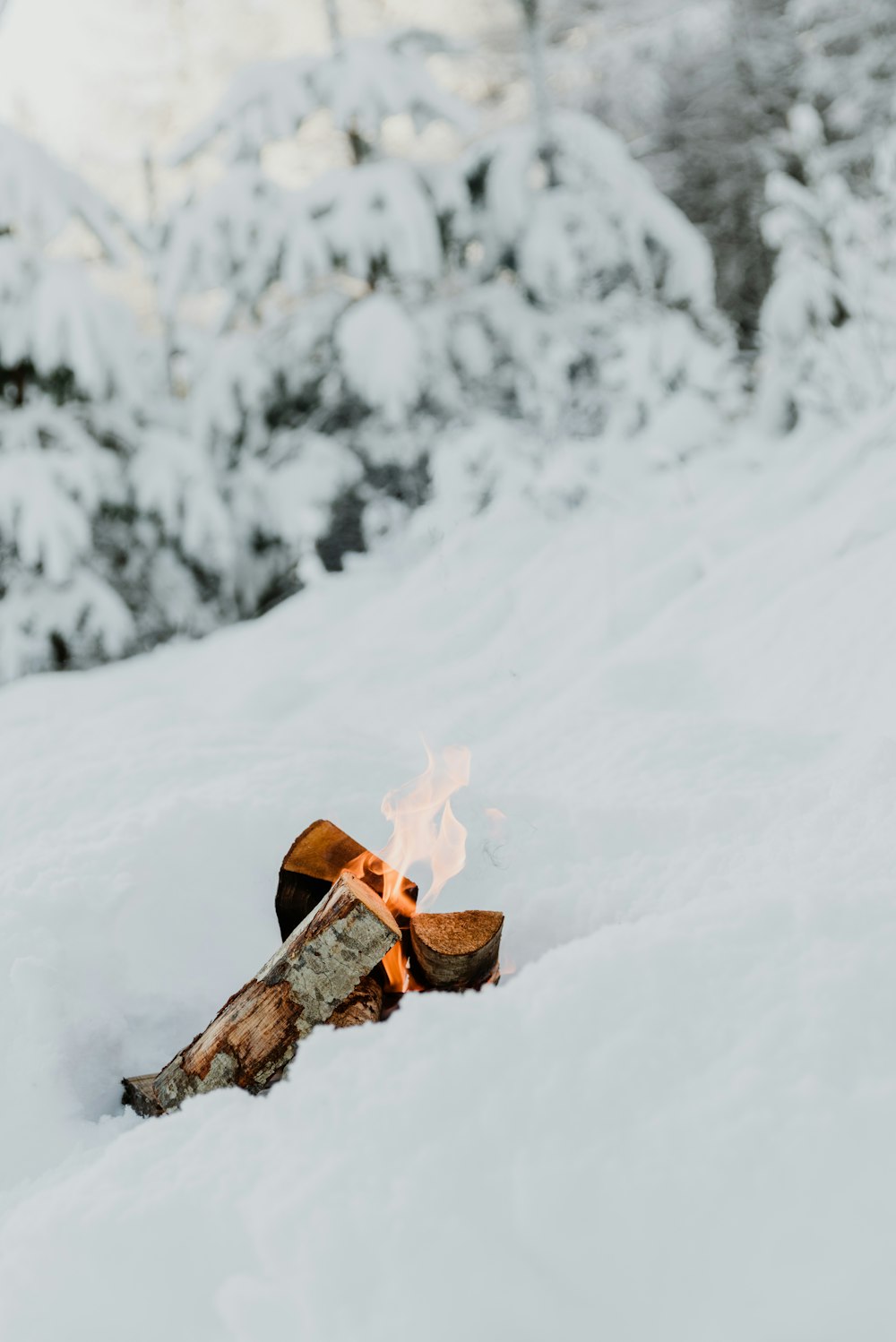 a fire in the middle of a snowy field