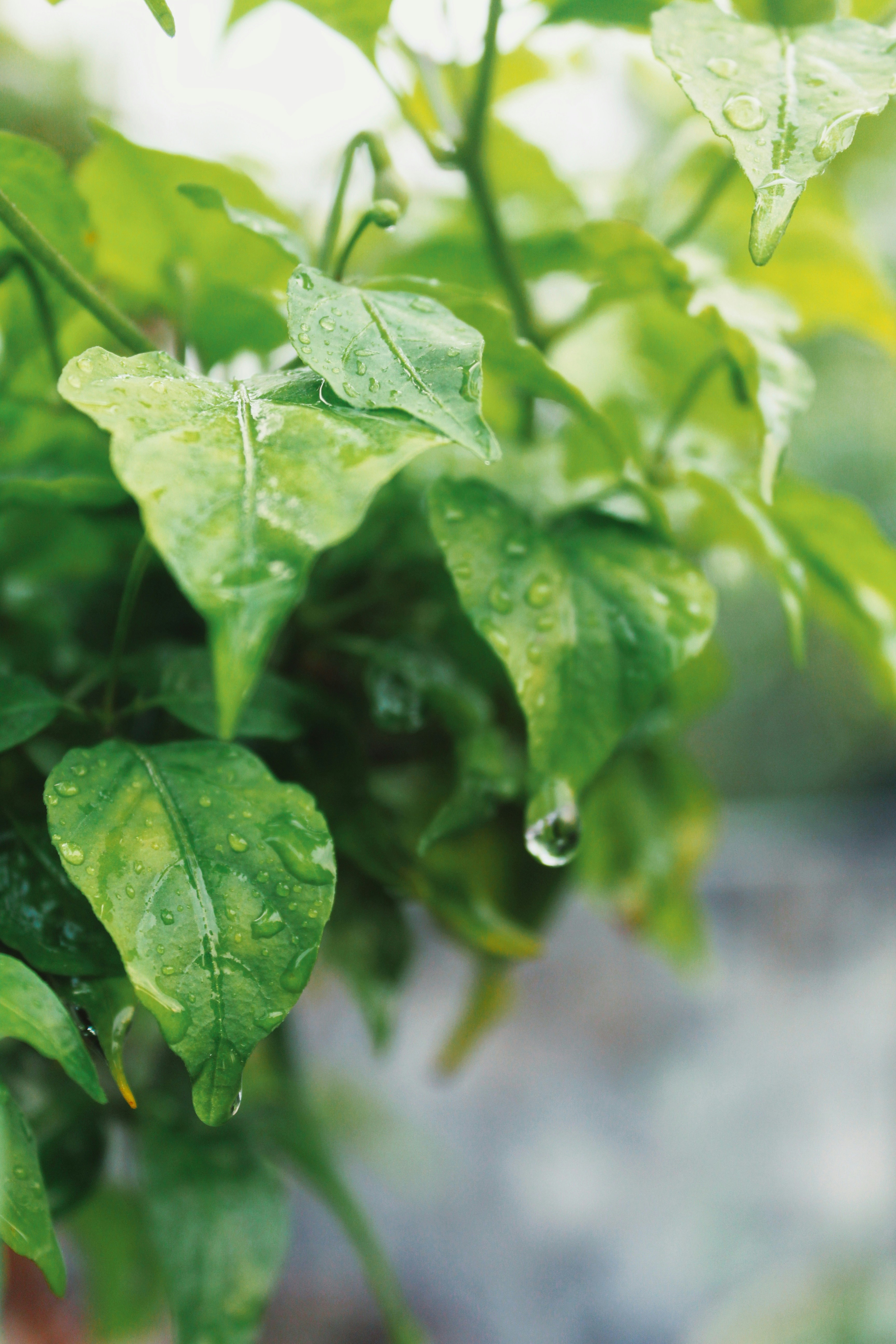 Photo by adhishot__23