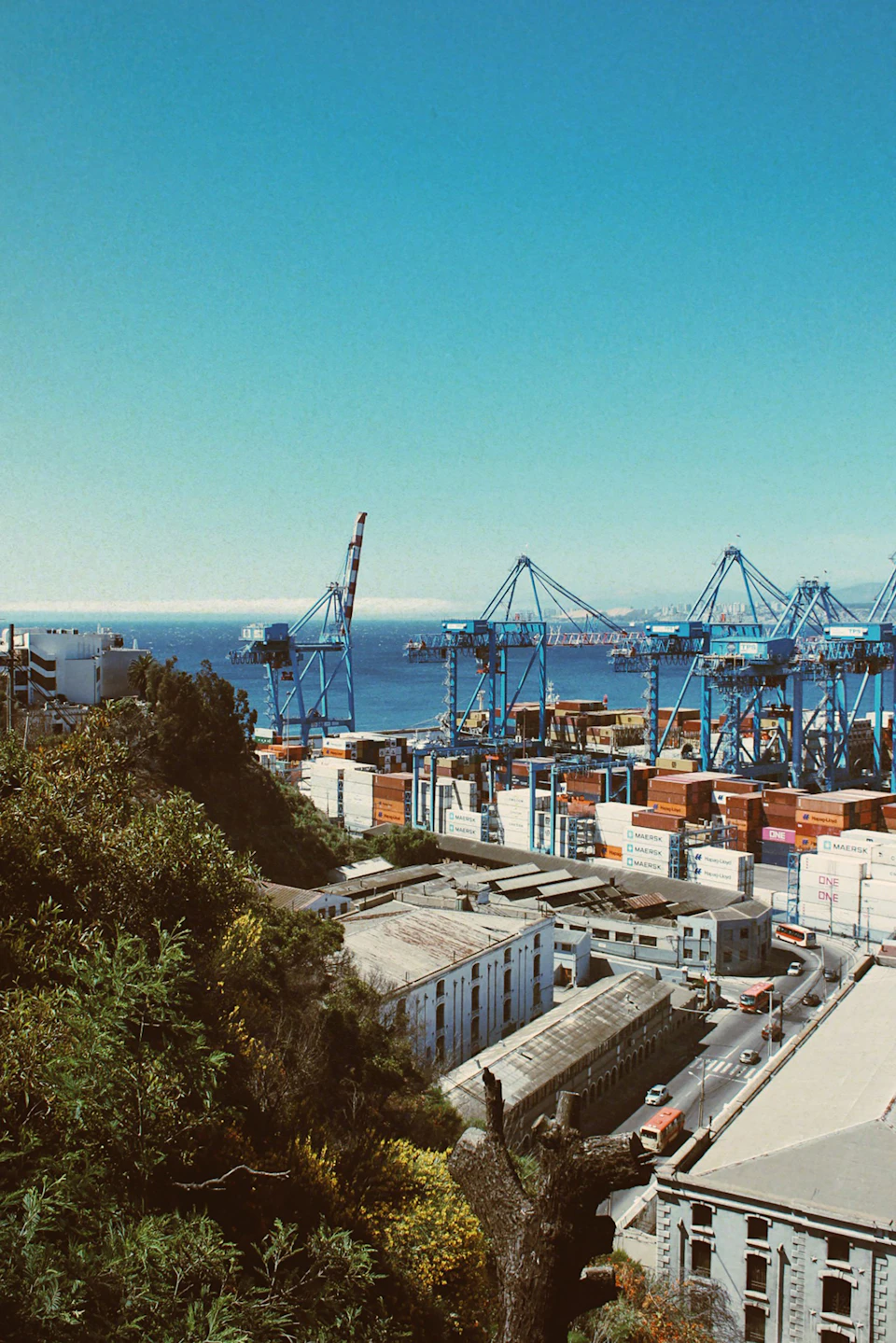 The image depicts a bustling port city with several cranes and shipping containers visible on the water, indicating ongoing trade activities. The cityscape is surrounded by lush green trees, providing a contrast to the industrial setting. In the foreground, there are buildings that appear to be residential or commercial structures, suggesting a mix of urban and natural elements in this picturesque scene.