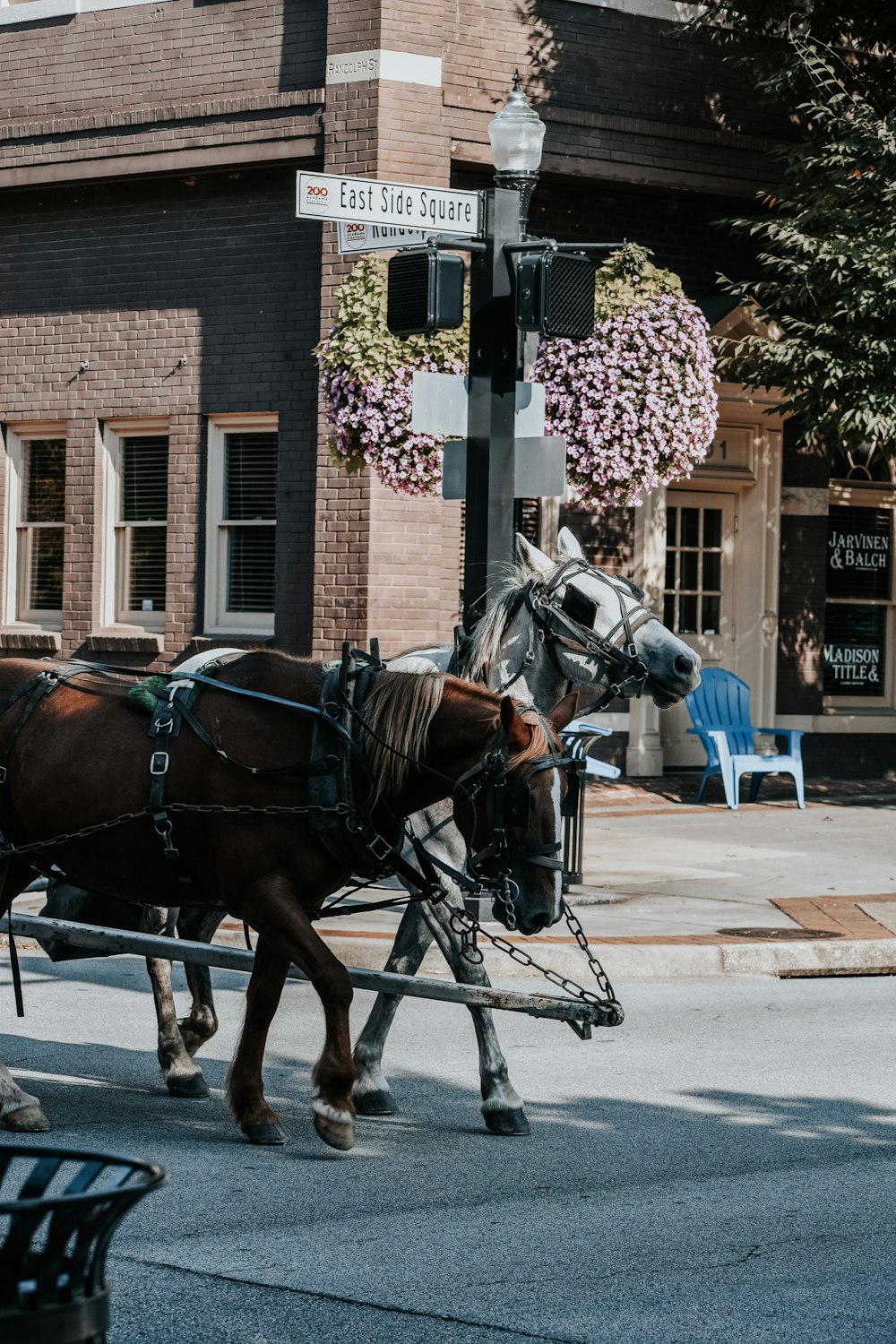 a couple of horses pulling a carriage down a street