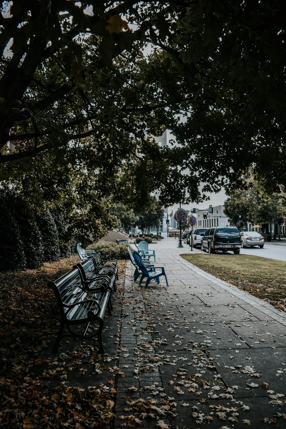 a couple of benches sitting on top of a sidewalk