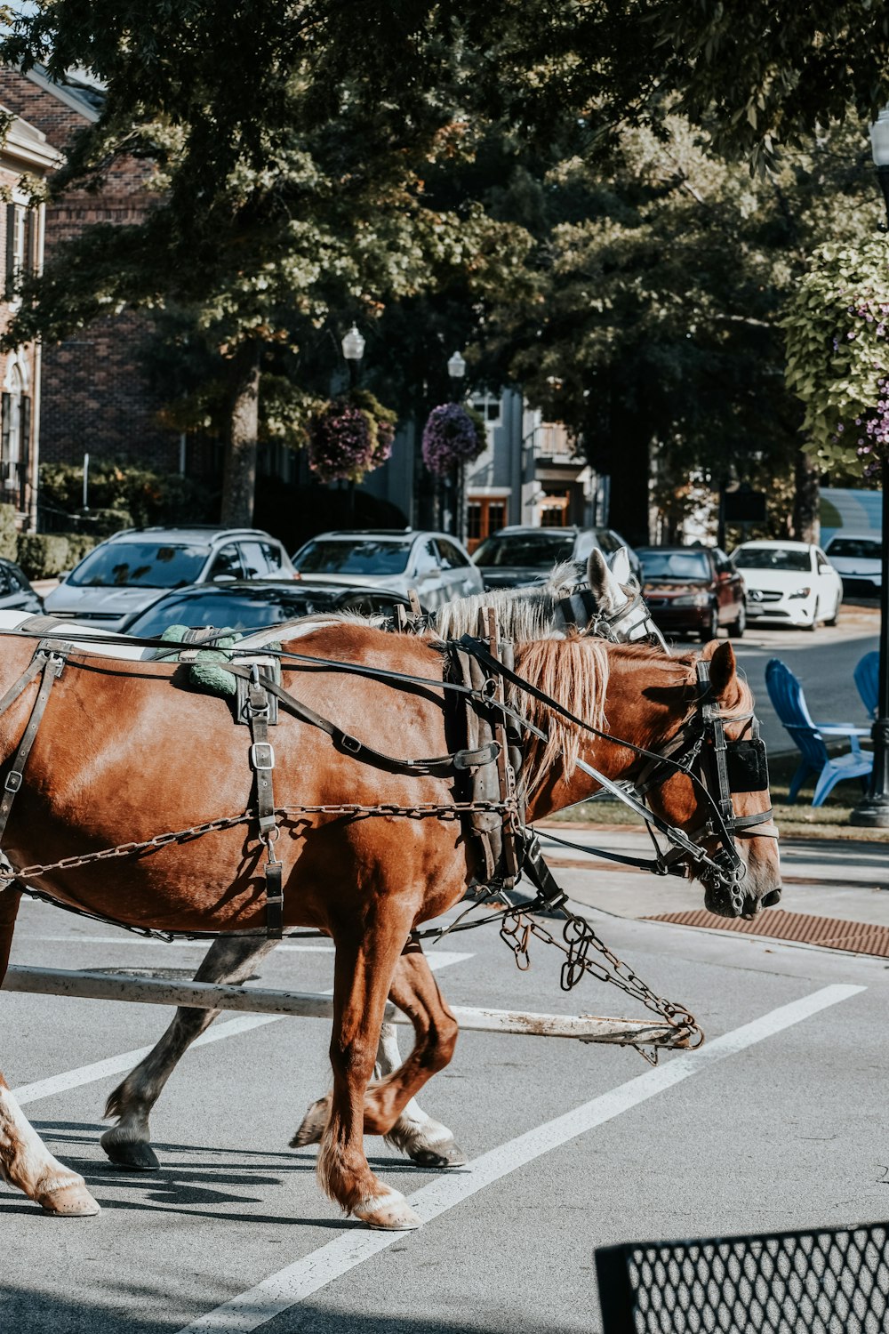 a brown horse pulling a carriage down a street