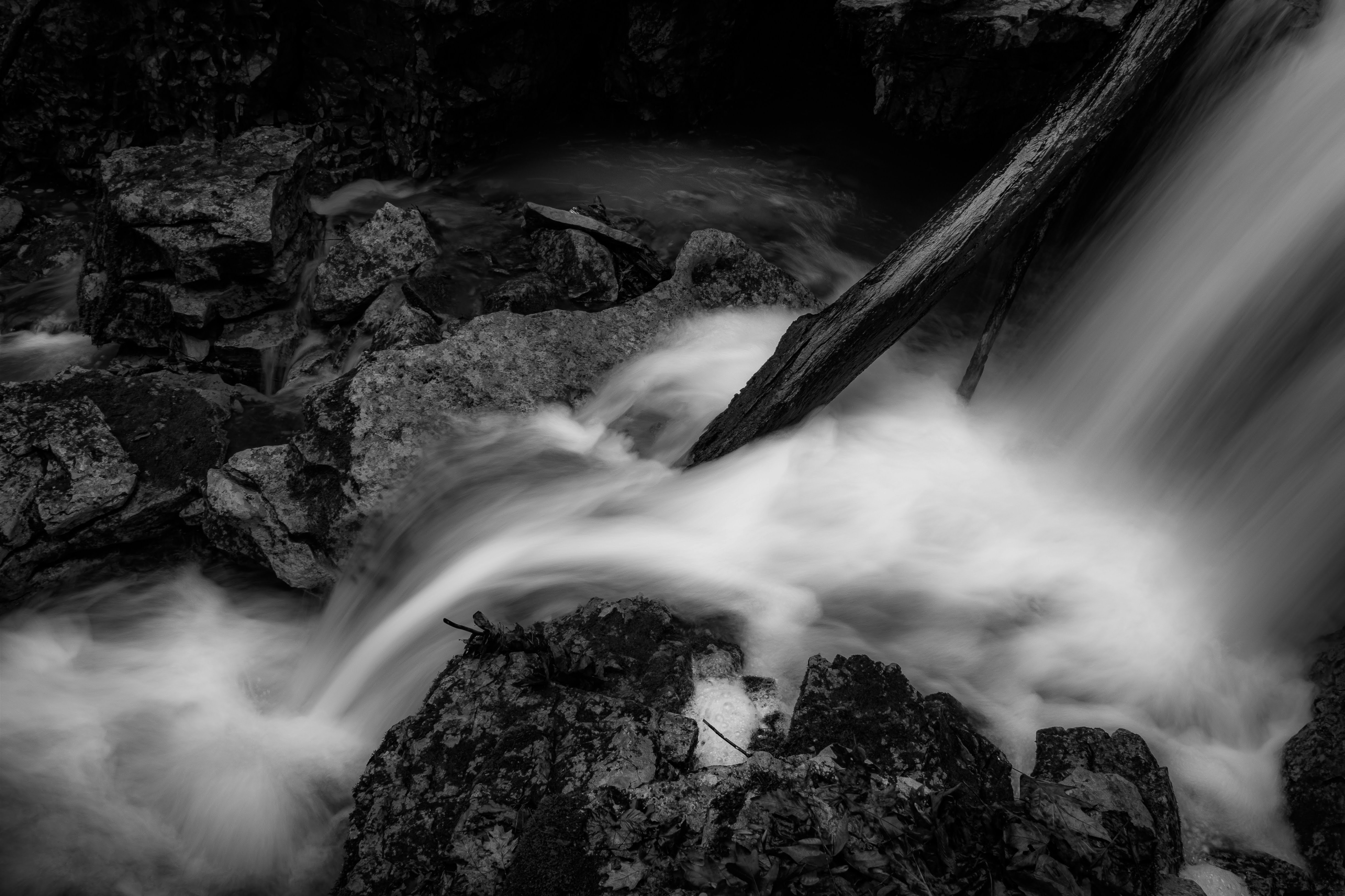 Photo by brice_cooper18