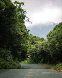 A winding road flanked by dense green foliage leads towards distant, mist-covered mountains. The scene evokes a sense of tranquility and adventure.