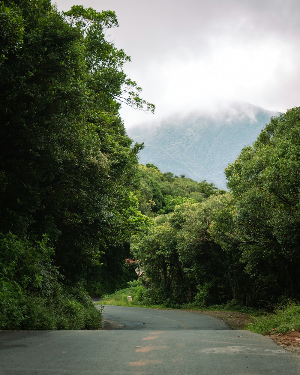 an empty road surrounded by trees and mountains