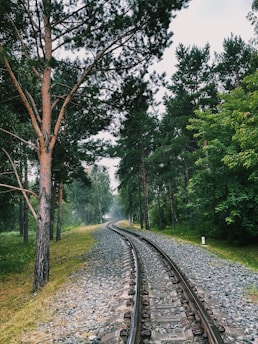 A railway track curves through a dense forest with tall pine trees on either side. The track is made of metal rails and concrete sleepers, surrounded by gravel. The atmosphere is misty and tranquil, with lush green foliage creating a serene, natural setting.