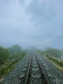 Rail tracks disappearing into a misty forest, evoking adventure and mystery.