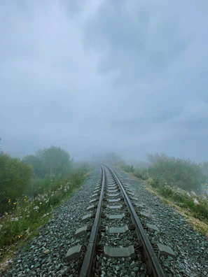 Rail tracks disappearing into a misty forest, evoking adventure and mystery.