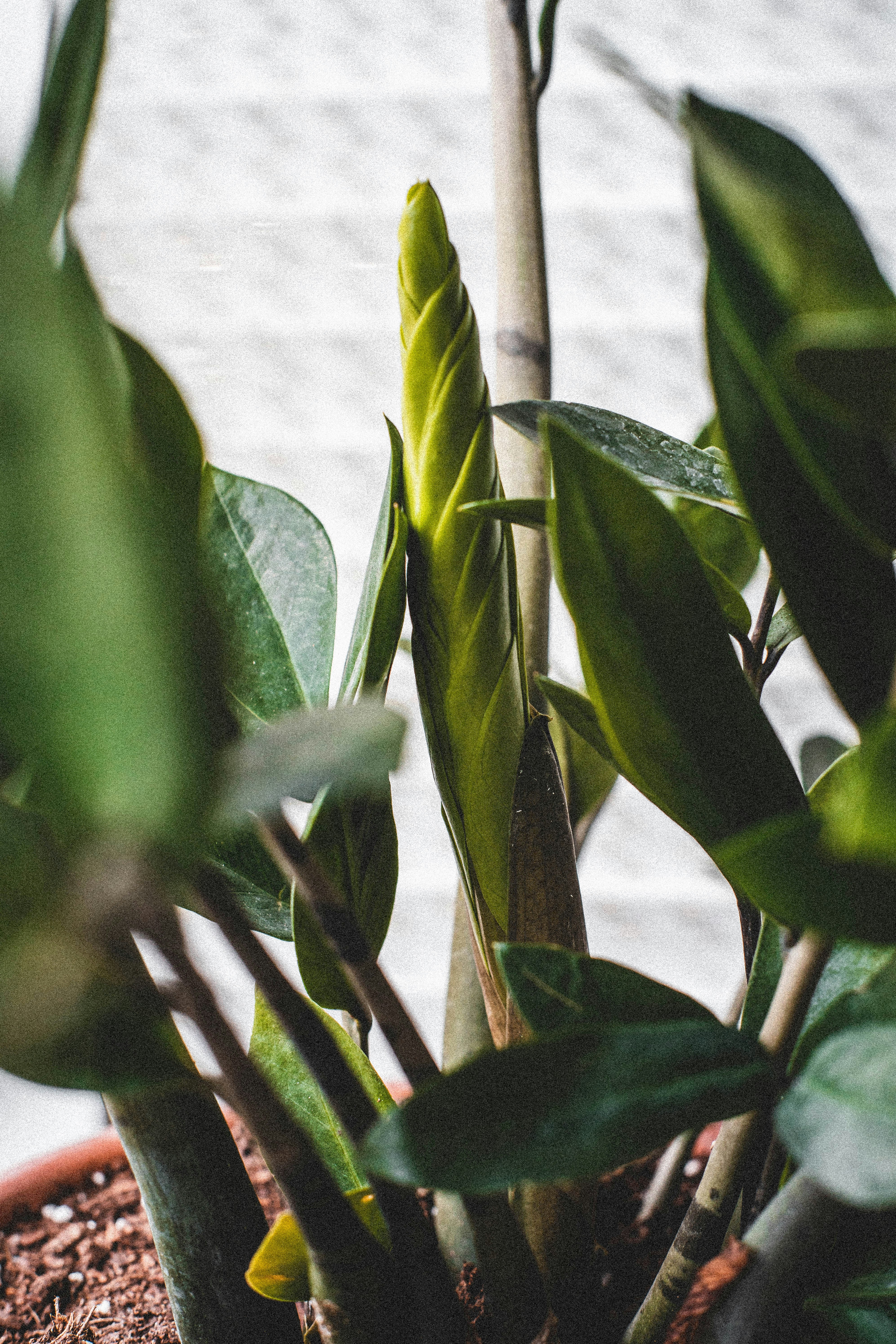 Photo by lifewithyess