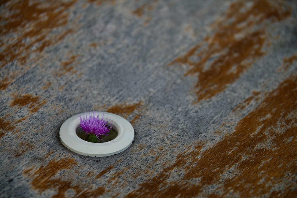 a purple flower sitting inside of a white tube